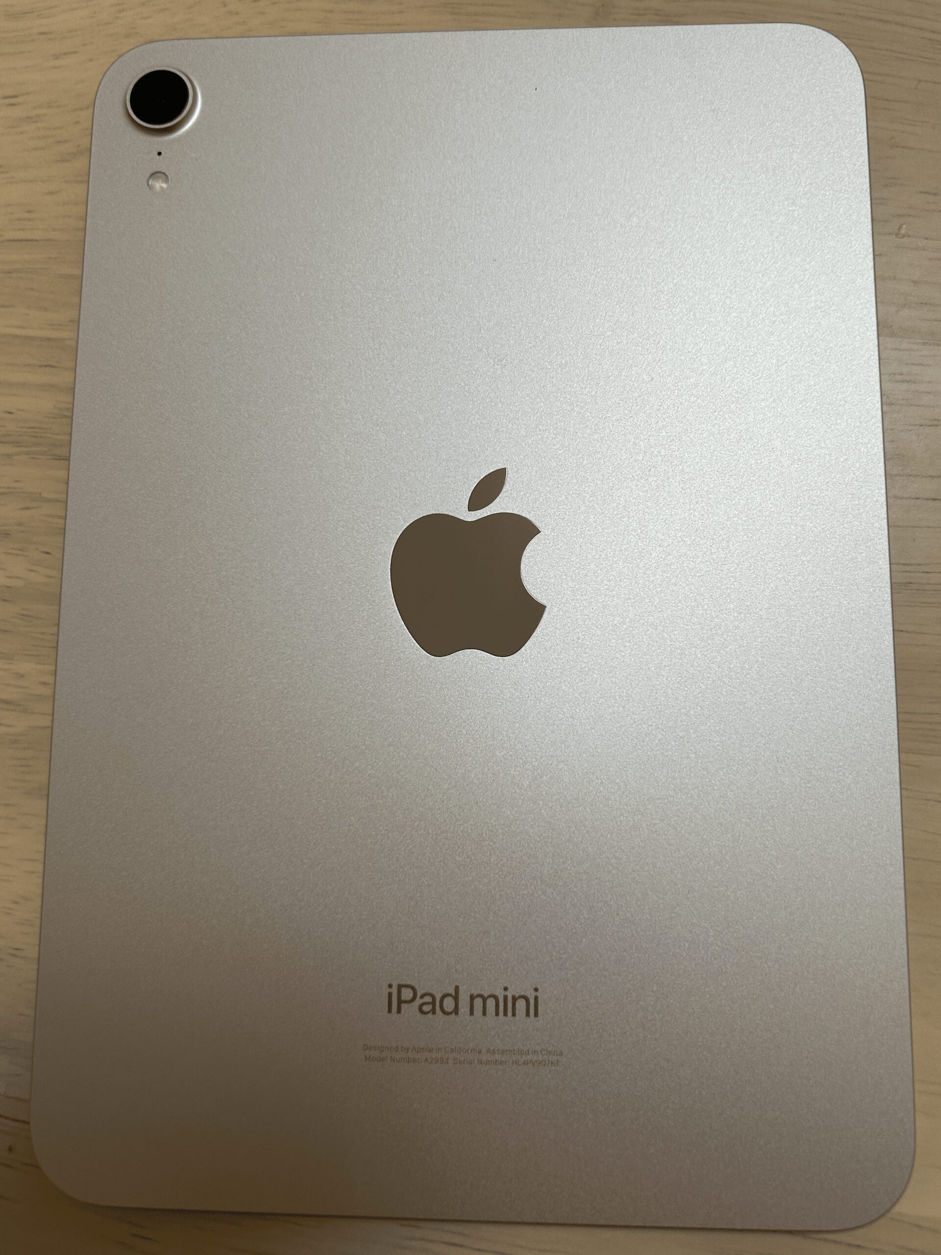 iPad mini